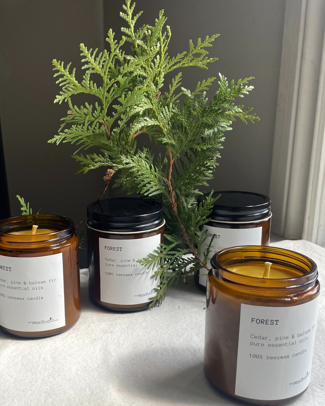 FOREST - Beeswax Jar Candle - Pure essential oils - Single Wick // Woodland Aroma - Beeswax Candle - Amber Glass Jar Candle - 50 hour burn time