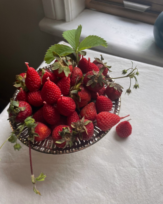 Cake Candles - Strawberries -  Set of 12  candles in 100% beeswax -PURE BEESWAX -  fruit - cake candles - candle, beeswax, red, fruit candles