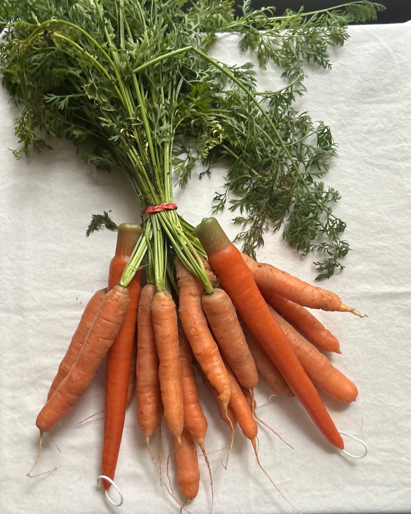 Carrot Beeswax Tapers - Pair of 2 // Tapers, Carrots, Orange Candles, Food Candles, Beeswax, Candle