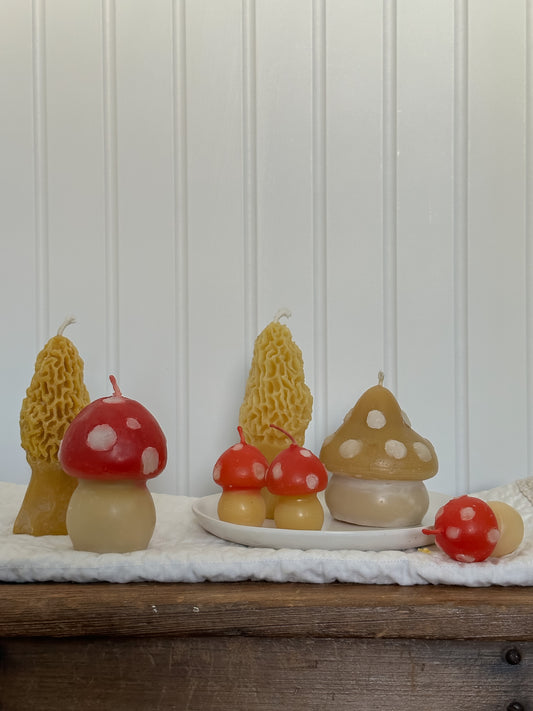 Instant Mushroom Candle Collection - Toadstool Candles, Pure 100% Beeswax - 4 Candles // Woodland, Mushroom, Beeswax, Candle, Mushroom Candle