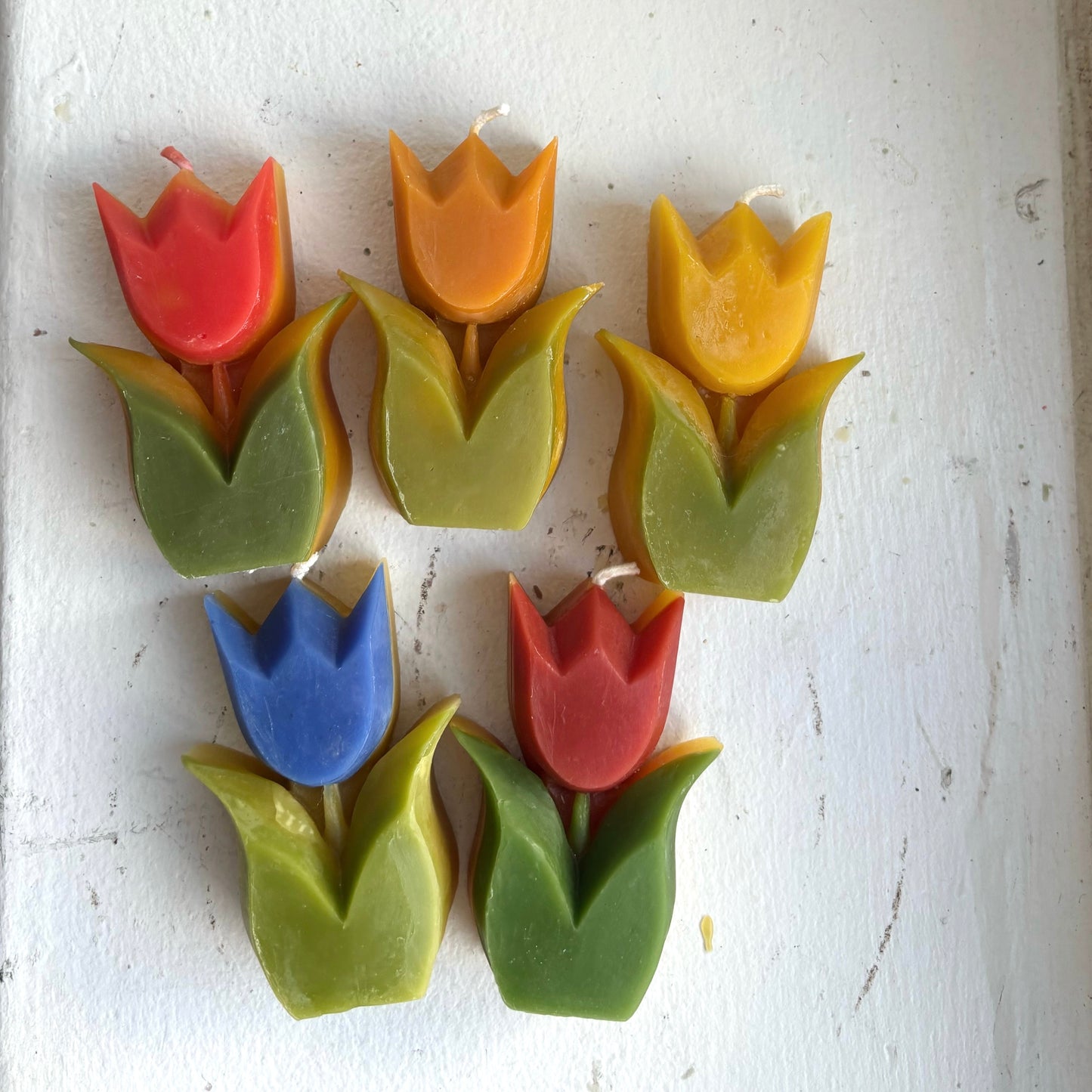 Folklore Tulip - Beeswax Candle - 100% Beeswax - Many Color Choices // Tulip, Flower, Candle