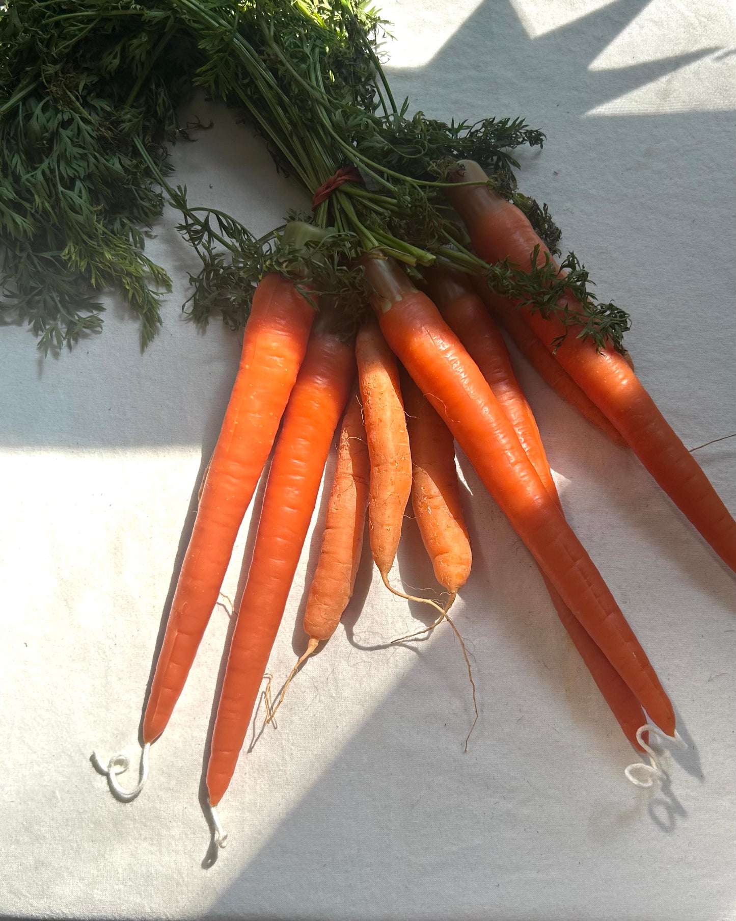Carrot Beeswax Tapers - Pair of 2 // Tapers, Carrots, Orange Candles, Food Candles, Beeswax, Candle