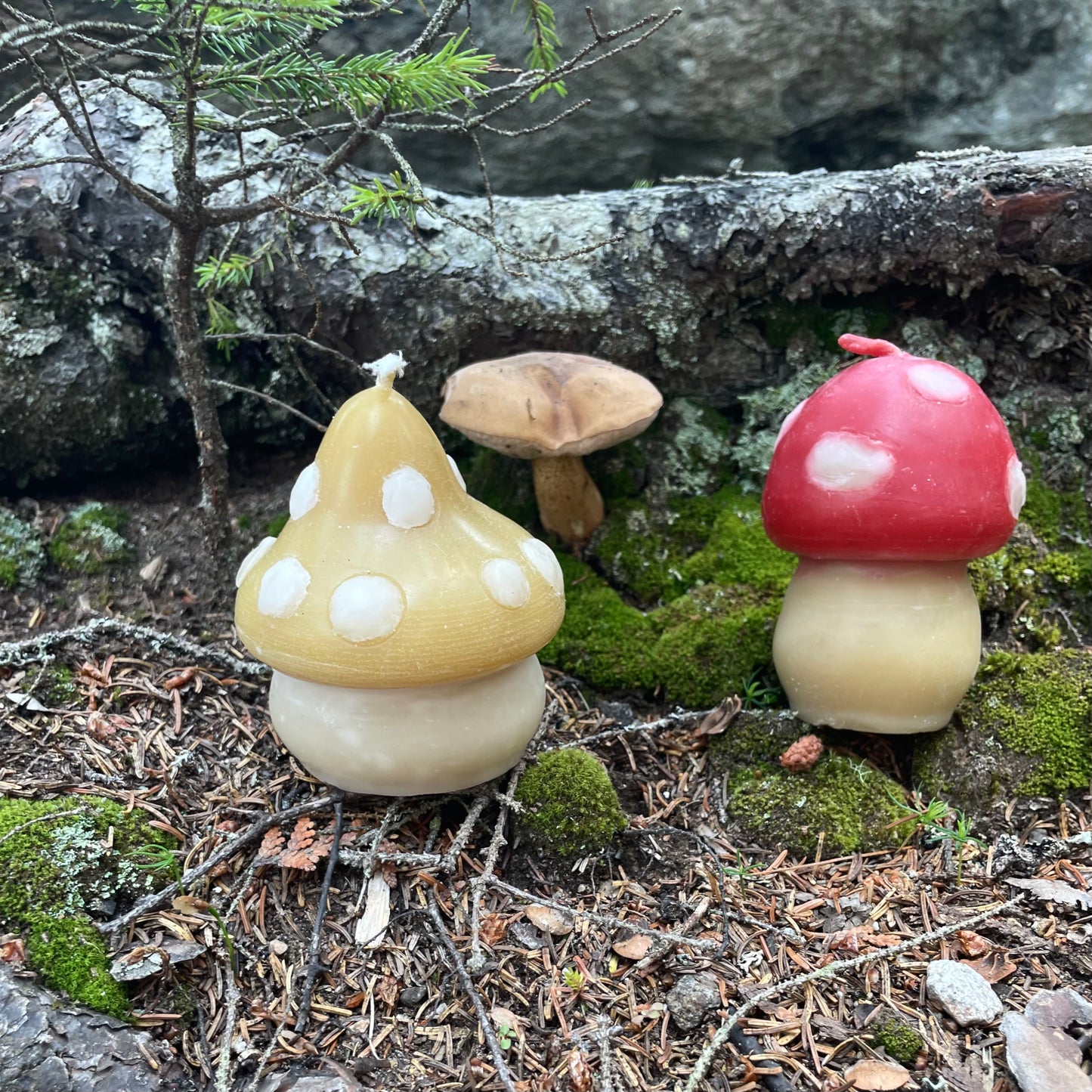 Spotted Mushroom Candle, Yellow Beeswax - ONE candle // Woodland, Mushroom, Beeswax, Candle