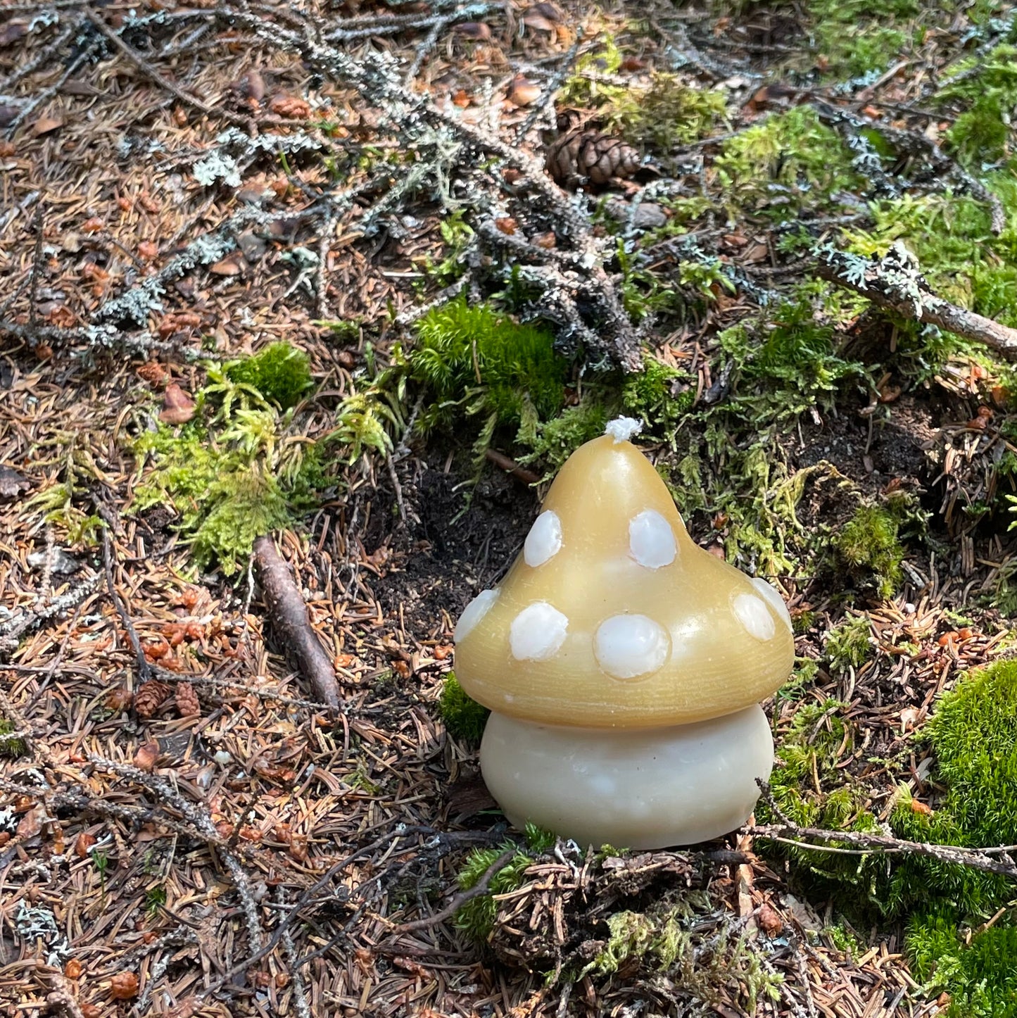 Spotted Mushroom Candle, Yellow Beeswax - ONE candle // Woodland, Mushroom, Beeswax, Candle