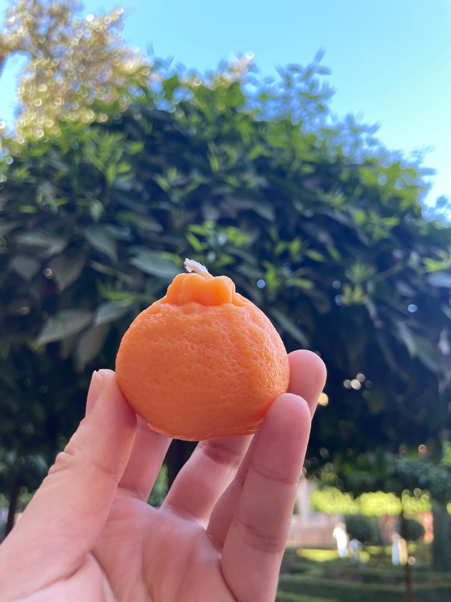 Orange Fruit Beeswax Candle - Orange, Beeswax Candle, Candle, Fruit Candle