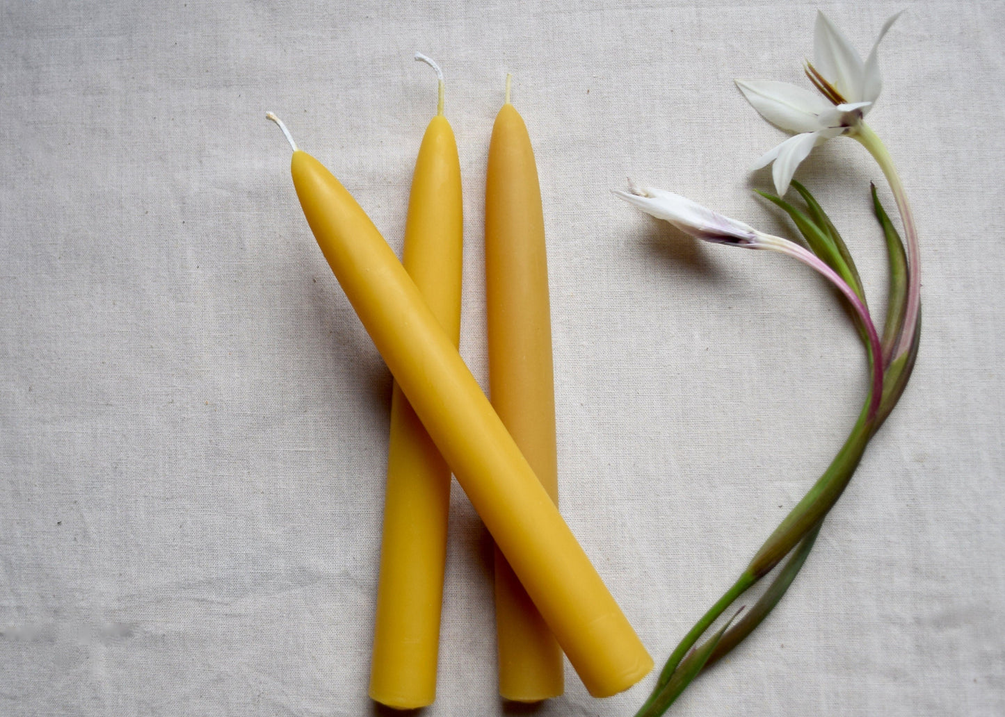 Pair of Two 8" Beeswax Taper Candles// Tapers, Beeswax, Candles // 100% Pure Handfiltered Beeswax, Hygge Home