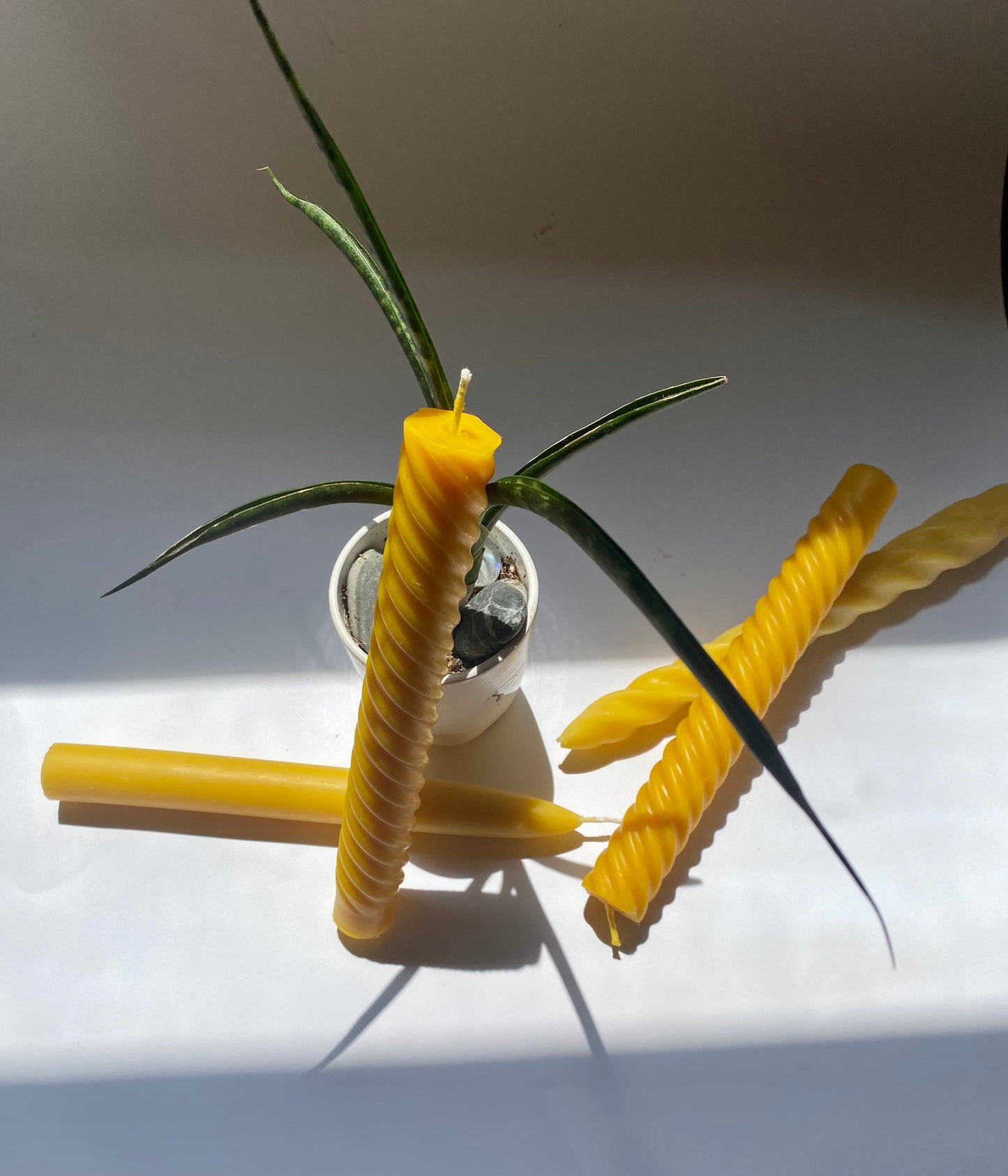 Beeswax Spiral Tapers - Pair of Two 8" - Pure Beeswax Tapers - Candles - Beeswax Candles, Twisted Taper Candles
