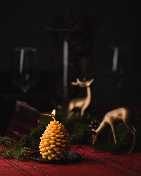 Holiday Beeswax Candle - Pinecone / Pinecone Candle, Eco Friendly, Beeswax, Candles
