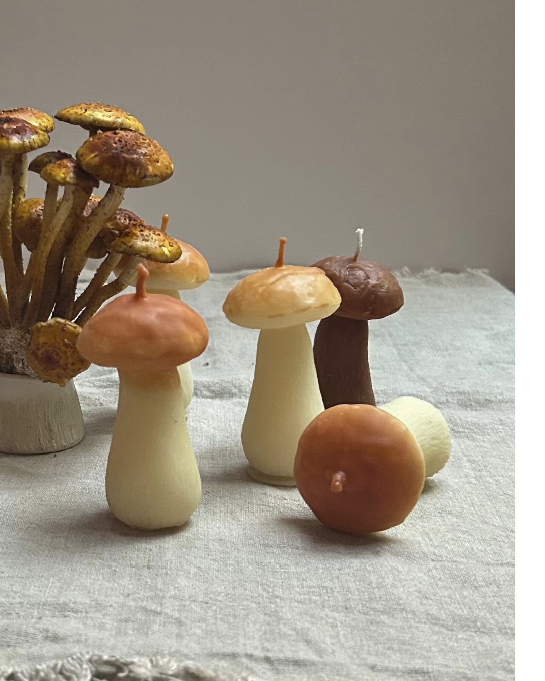 Chestnut Mushroom Candle, Beeswax - ONE candle // Fungi, Woodland, Mushroom, Beeswax Candle