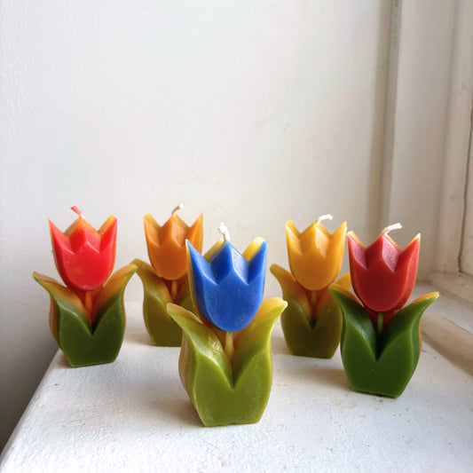 Folklore Tulip - Beeswax Candle - 100% Beeswax - Many Color Choices //  Tulip, Flower, Candle