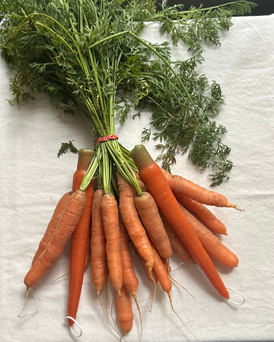 Carrot Beeswax Tapers - Pair of 2 // Tapers, Carrots, Orange Candles, Food Candles, Beeswax, Candle