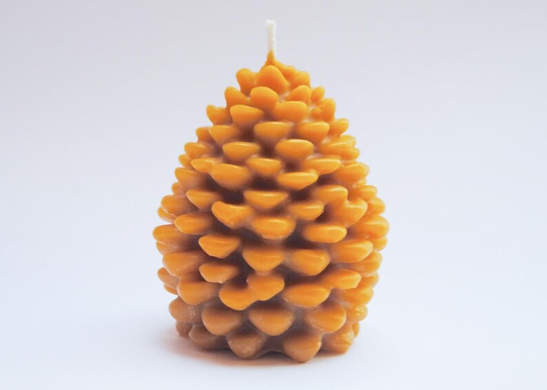Pinecone and Tree SET of 2 Pair of Candles - Woodland Candles, Pure Beeswax, Evergreen and Forest Pinecone, Candles
