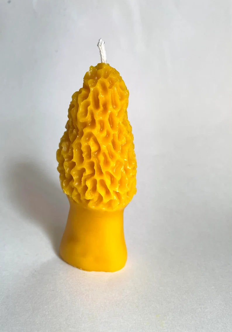 Candle SET - Gnome and Mushroom PAIR of 2 beeswax candles - Garden Gnome, Morel Mushroom, Candles, Beeswax, Woodland
