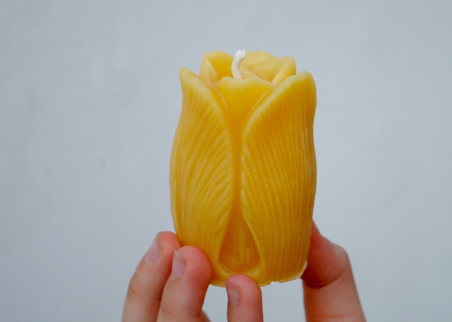 Tulip Beeswax Candle - Many Color Choices //  Petals, Tulip, Flower Candle, Beeswax, Candle, Botanical, Handcrafted