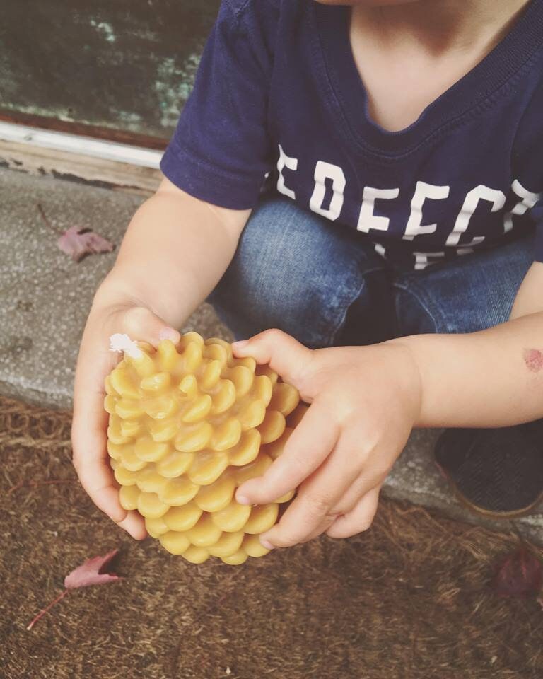 Beeswax Candle - Pinecone / Pinecone Candle, Eco Friendly, Beeswax, Candles