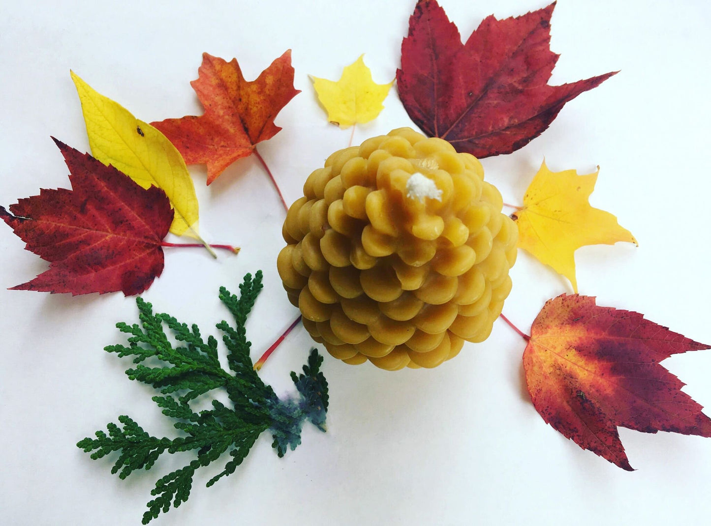 Beeswax Candle - Pinecone / Pinecone Candle, Eco Friendly, Beeswax, Candles