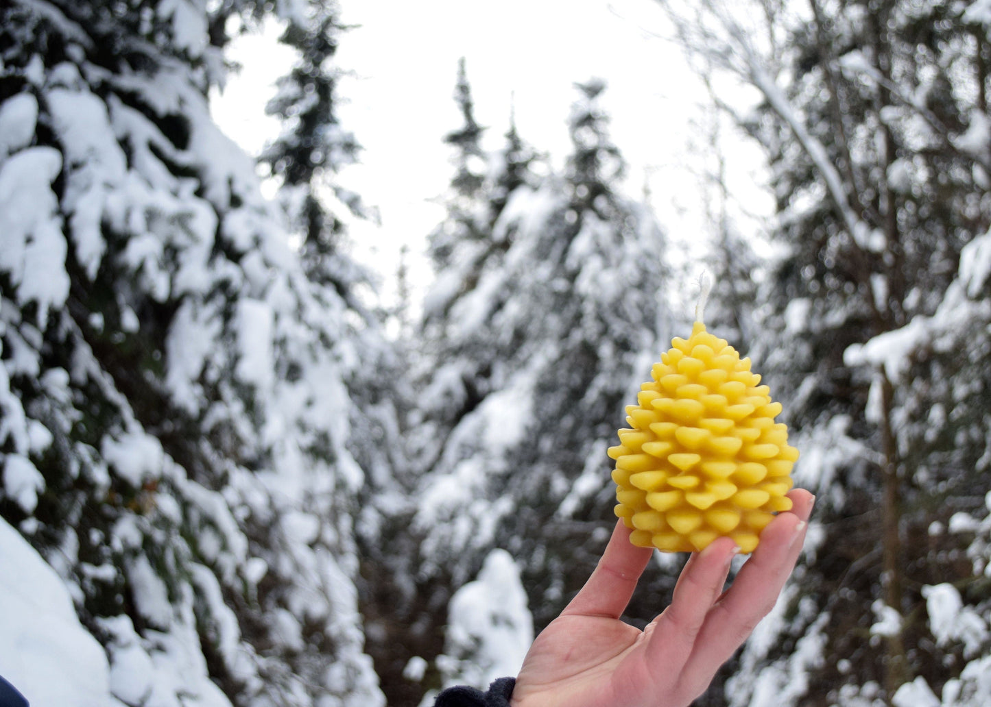 White Beeswax Candle - Pinecone / Pinecone Candle, Eco Friendly, Beeswax, Candles