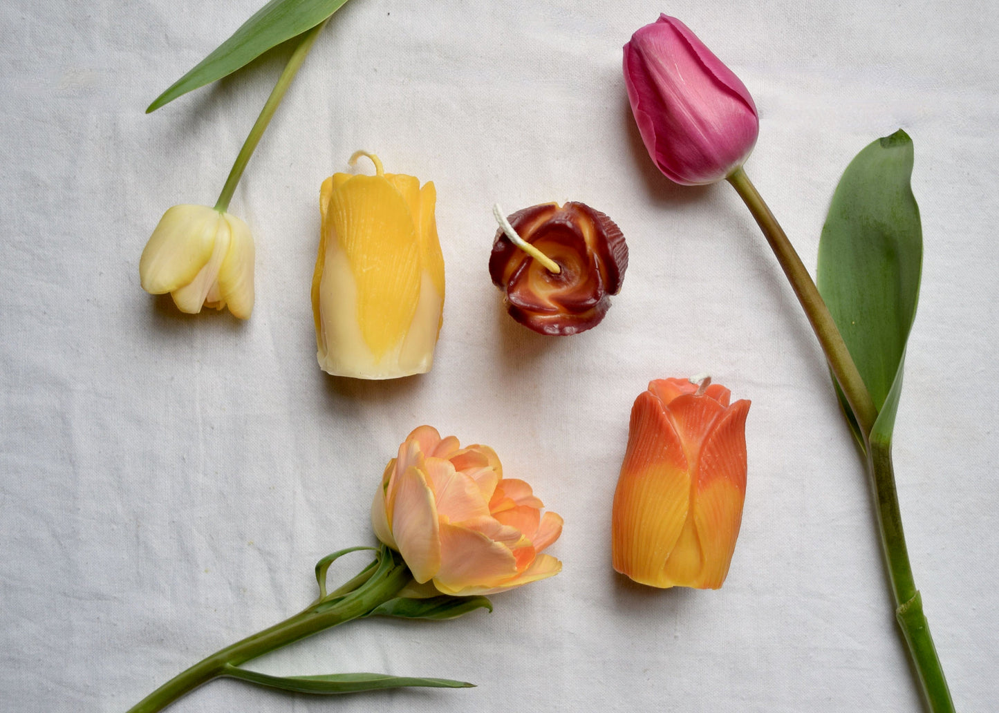 Tulip Beeswax Candle - Many Color Choices //  Petals, Tulip, Flower Candle, Beeswax, Candle, Botanical, Handcrafted