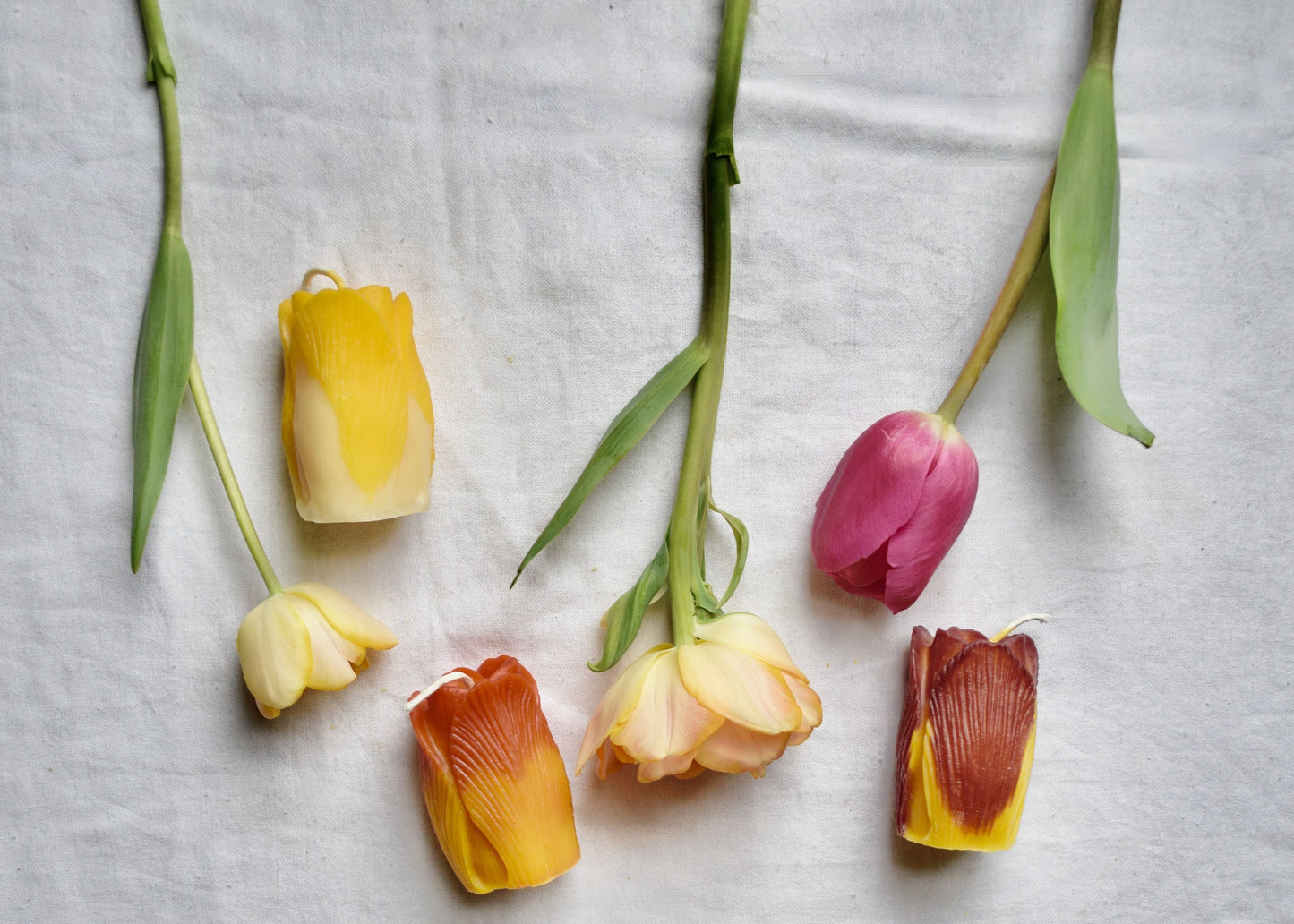 Tulip Beeswax Candle - Many Color Choices //  Petals, Tulip, Flower Candle, Beeswax, Candle, Botanical, Handcrafted