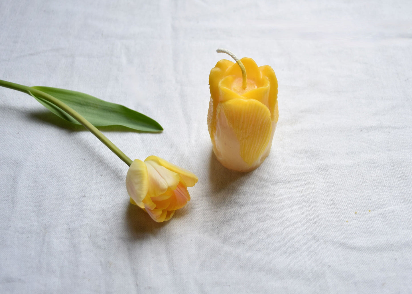 Tulip Beeswax Candle - Many Color Choices //  Petals, Tulip, Flower Candle, Beeswax, Candle, Botanical, Handcrafted