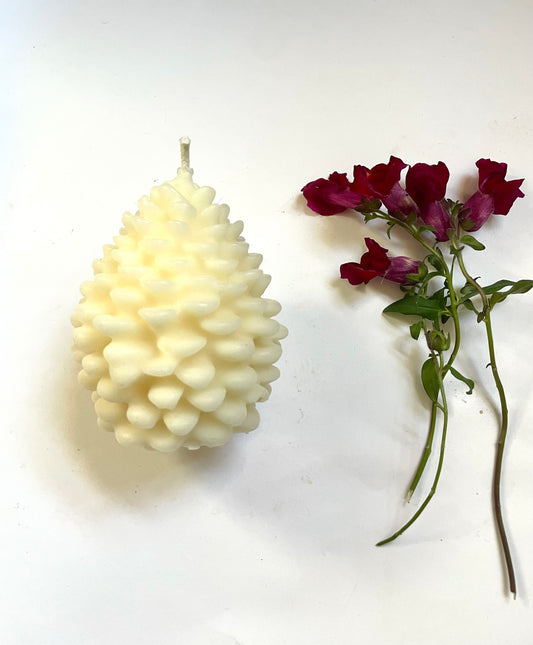 White Beeswax Candle - Pinecone / Pinecone Candle, Eco Friendly, Beeswax, Candles